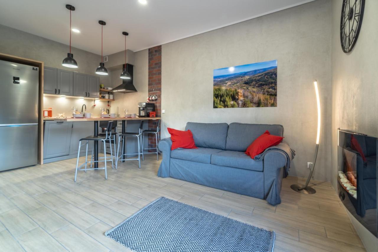 Apartamenty Pod Gondola Swieradow Екстериор снимка