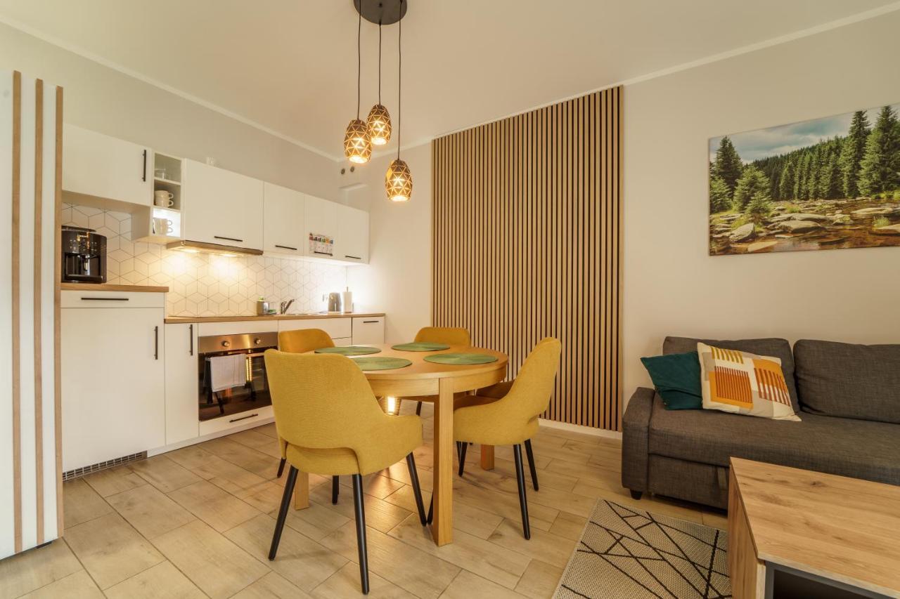 Apartamenty Pod Gondola Swieradow Екстериор снимка
